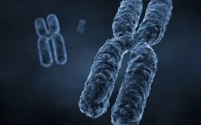 Confused about epigenetics? A basic introduction to histone modification among students.