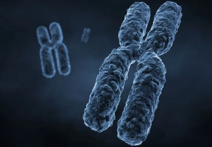 Confused about epigenetics? A basic introduction to histone modification among students.