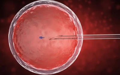IVF Training Is Not Just for Doctors: Who Can Really Become an Embryologist?