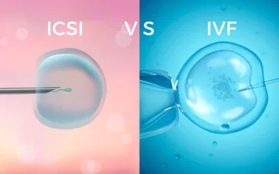 IVF vs ICSI: What Does It Really Matter for an Embryologist?